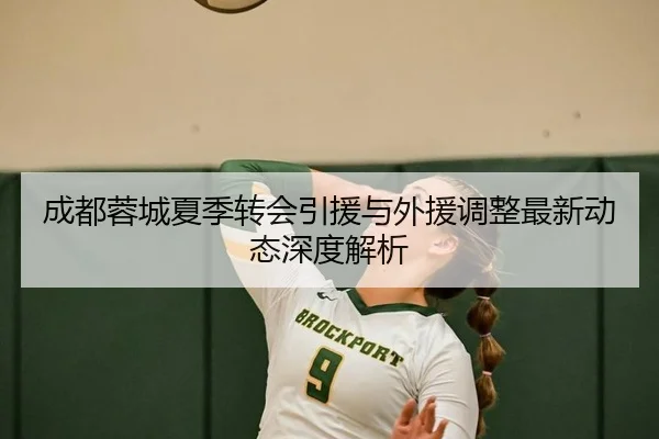 成都蓉城夏季转会引援与外援调整最新动态深度解析
